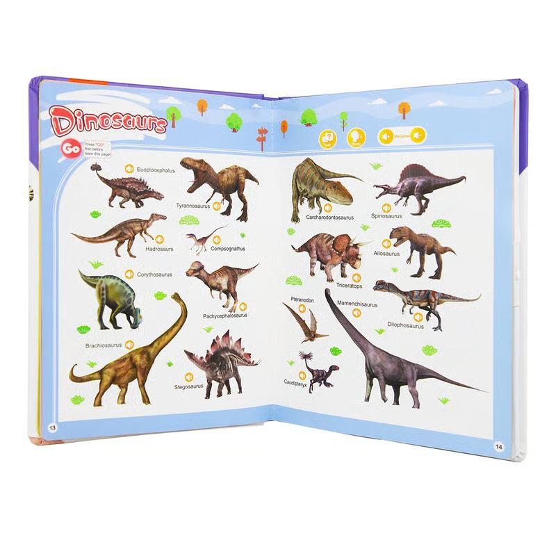 🔥🔥Toddler 1-6 Year Old | My First English Sound Toy ( Pack of 2)