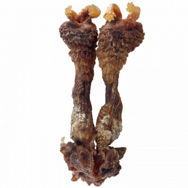 Original Hatha Jodi (Rare) – Rare & Powerful Tantric Charm for Protection, Wealth &Victory - Energized & Certifiedl