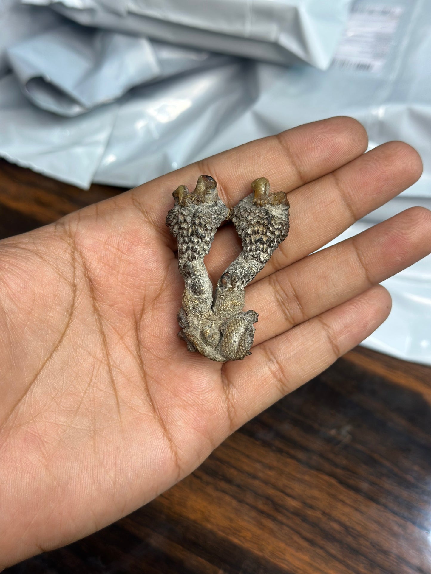 Original Hatha Jodi (Rare) – Rare & Powerful Tantric Charm for Protection, Wealth &Victory - Energized & Certifiedl