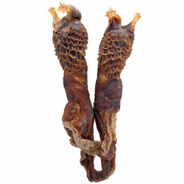 Original Hatha Jodi (Rare) – Rare & Powerful Tantric Charm for Protection, Wealth &Victory - Energized & Certifiedl